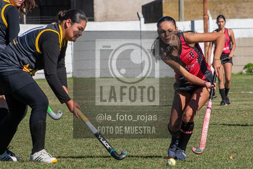 Fotografía H-172 de (03) 2026-05-10 Nerwbery 12 de Octubre