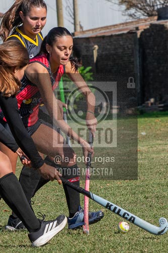 Fotografía H-175 de (03) 2026-05-10 Nerwbery 12 de Octubre