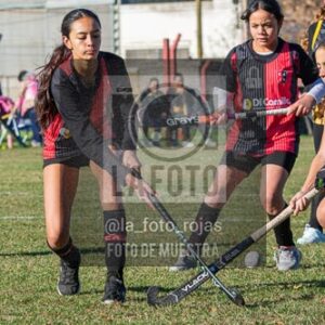 Fotografía H-18-1 de (03) 2026-05-10 Nerwbery 12 de Octubre