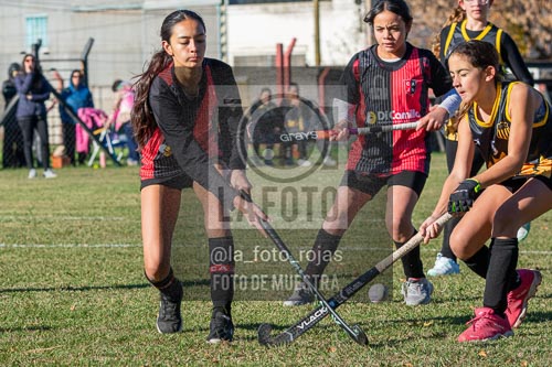 Fotografía H-18-1 de (03) 2026-05-10 Nerwbery 12 de Octubre