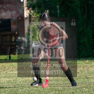 Fotografía H-185 de (03) 2026-05-10 Nerwbery 12 de Octubre