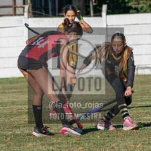 Fotografía H-19-1 de (03) 2026-05-10 Nerwbery 12 de Octubre