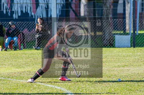Fotografía H-20-1 de (03) 2026-05-10 Nerwbery 12 de Octubre