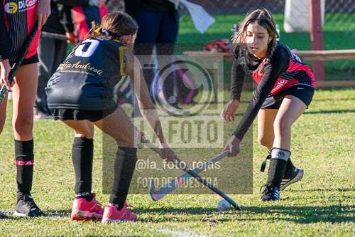 Fotografía H-21-1 de (03) 2026-05-10 Nerwbery 12 de Octubre
