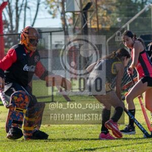 Fotografía H-23-1 de (03) 2026-05-10 Nerwbery 12 de Octubre