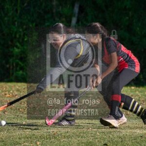 Fotografía H-30 de (03) 2026-05-10 Nerwbery 12 de Octubre