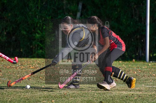Fotografía H-30 de (03) 2026-05-10 Nerwbery 12 de Octubre