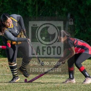 Fotografía H-31 de (03) 2026-05-10 Nerwbery 12 de Octubre