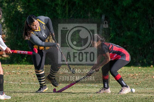 Fotografía H-31 de (03) 2026-05-10 Nerwbery 12 de Octubre