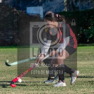 Fotografía H-34 de (03) 2026-05-10 Nerwbery 12 de Octubre