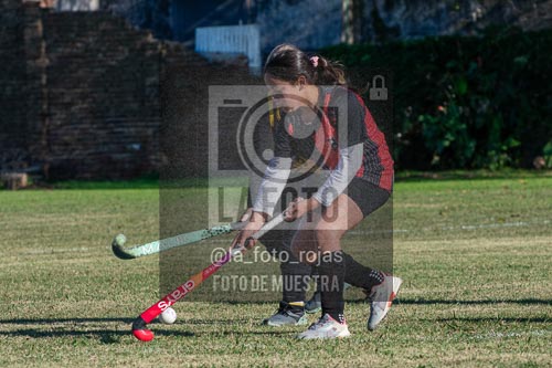 Fotografía H-34 de (03) 2026-05-10 Nerwbery 12 de Octubre