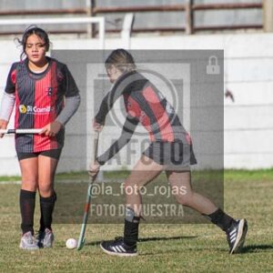 Fotografía H-35 de (03) 2026-05-10 Nerwbery 12 de Octubre