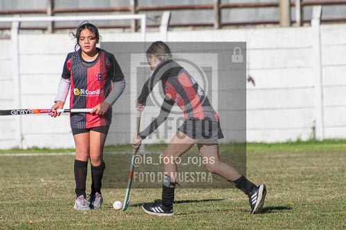 Fotografía H-35 de (03) 2026-05-10 Nerwbery 12 de Octubre