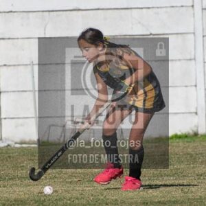 Fotografía H-36 de (03) 2026-05-10 Nerwbery 12 de Octubre