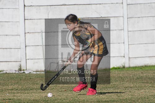 Fotografía H-36 de (03) 2026-05-10 Nerwbery 12 de Octubre