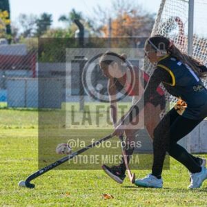 Fotografía H-38 de (03) 2026-05-10 Nerwbery 12 de Octubre