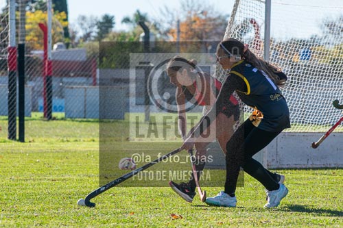 Fotografía H-38 de (03) 2026-05-10 Nerwbery 12 de Octubre