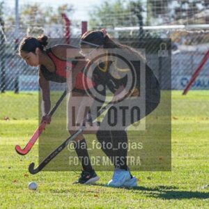 Fotografía H-39 de (03) 2026-05-10 Nerwbery 12 de Octubre