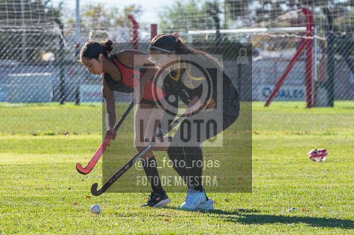 Fotografía H-39 de (03) 2026-05-10 Nerwbery 12 de Octubre