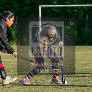 Fotografía H-4-1 de (03) 2026-05-10 Nerwbery 12 de Octubre