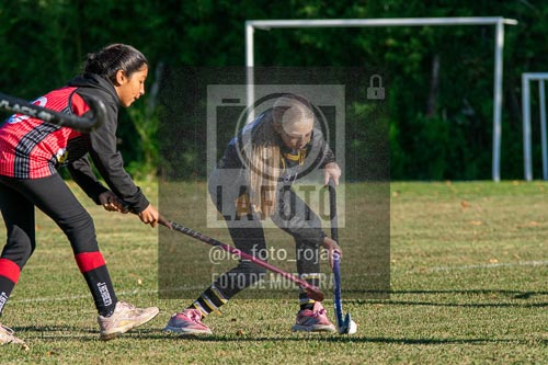 Fotografía H-4-1 de (03) 2026-05-10 Nerwbery 12 de Octubre