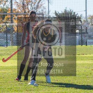 Fotografía H-40 de (03) 2026-05-10 Nerwbery 12 de Octubre