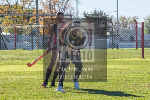 Fotografía H-40 de (03) 2026-05-10 Nerwbery 12 de Octubre