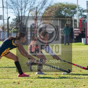 Fotografía H-41 de (03) 2026-05-10 Nerwbery 12 de Octubre