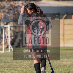 Fotografía H-42 de (03) 2026-05-10 Nerwbery 12 de Octubre