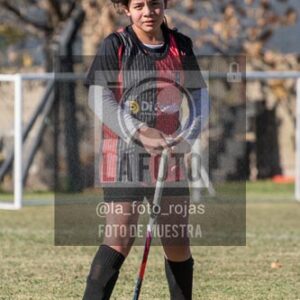 Fotografía H-43 de (03) 2026-05-10 Nerwbery 12 de Octubre