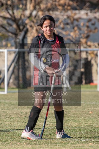 Fotografía H-43 de (03) 2026-05-10 Nerwbery 12 de Octubre