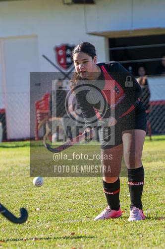 Fotografía H-46 de (03) 2026-05-10 Nerwbery 12 de Octubre