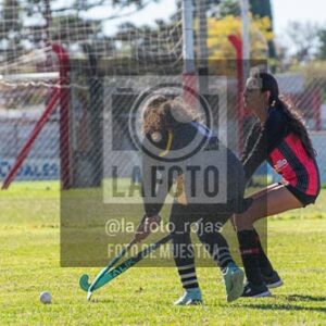 Fotografía H-47 de (03) 2026-05-10 Nerwbery 12 de Octubre