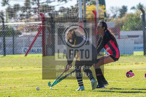 Fotografía H-47 de (03) 2026-05-10 Nerwbery 12 de Octubre