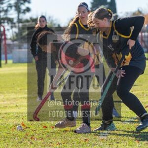 Fotografía H-49 de (03) 2026-05-10 Nerwbery 12 de Octubre