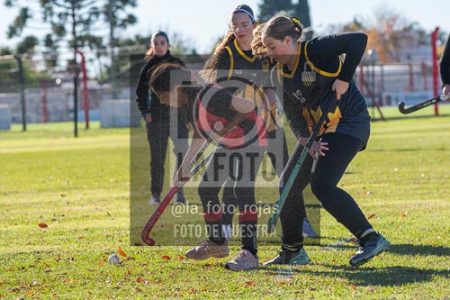 Fotografía H-49 de (03) 2026-05-10 Nerwbery 12 de Octubre