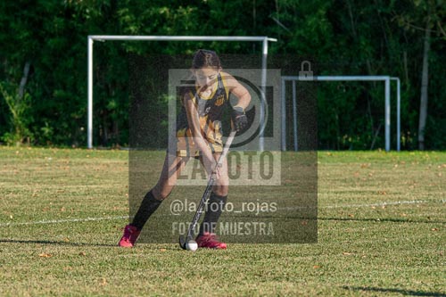 Fotografía H-5-1 de (03) 2026-05-10 Nerwbery 12 de Octubre