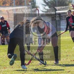 Fotografía H-50 de (03) 2026-05-10 Nerwbery 12 de Octubre