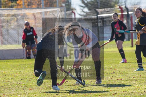 Fotografía H-50 de (03) 2026-05-10 Nerwbery 12 de Octubre