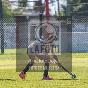 Fotografía H-51 de (03) 2026-05-10 Nerwbery 12 de Octubre