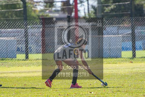 Fotografía H-51 de (03) 2026-05-10 Nerwbery 12 de Octubre