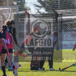 Fotografía H-52 de (03) 2026-05-10 Nerwbery 12 de Octubre