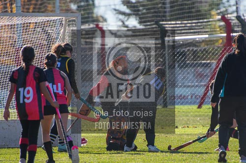 Fotografía H-52 de (03) 2026-05-10 Nerwbery 12 de Octubre