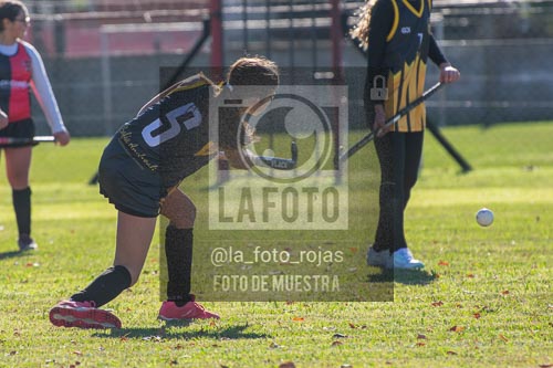 Fotografía H-56 de (03) 2026-05-10 Nerwbery 12 de Octubre