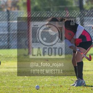 Fotografía H-57 de (03) 2026-05-10 Nerwbery 12 de Octubre