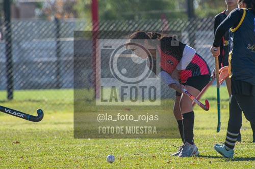Fotografía H-57 de (03) 2026-05-10 Nerwbery 12 de Octubre