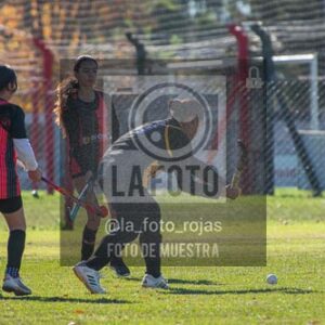Fotografía H-58 de (03) 2026-05-10 Nerwbery 12 de Octubre