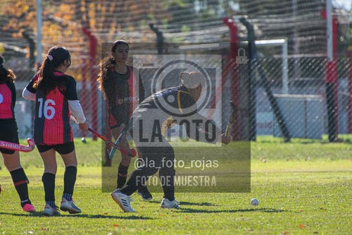 Fotografía H-58 de (03) 2026-05-10 Nerwbery 12 de Octubre