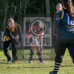 Fotografía H-59 de (03) 2026-05-10 Nerwbery 12 de Octubre