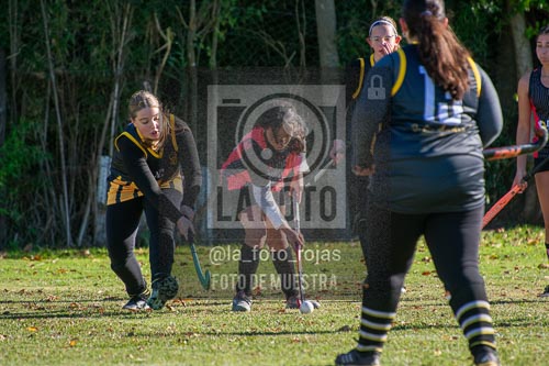 Fotografía H-59 de (03) 2026-05-10 Nerwbery 12 de Octubre